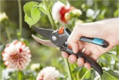 GARDENA Comfort B/M Bypass Snoeischaar - Ø 24mm - Met Sapgeul 13 GARDENA Comfort B/M Bypass Snoeischaar - Ø 24mm - Met Sapgeul -Tuingereedschaps Winkel 1200x800 200