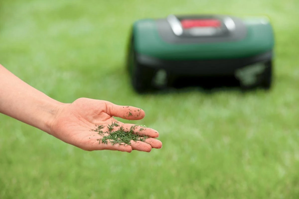 Bosch Indego S+ 500 Robotmaaier - Voor Gazons Tot 500 M2 - Incl. Laadstation En Accessoires - Connected 9 Bosch Indego S+ 500 Robotmaaier - Voor Gazons Tot 500 M2 - Incl. Laadstation En Accessoires - Connected - Afbeelding 9