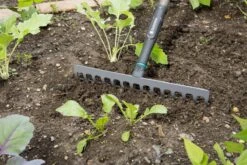 Gardena NatureLine Hark | 36 Cm | FSC 100% - 17106-20 -Tuingereedschaps Winkel 1200x800 278