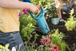 GARDENA Bollenplanter - Diepteaanduiding - Automatische Aardeloslating 12 GARDENA Bollenplanter - Diepteaanduiding - Automatische Aardeloslating -Tuingereedschaps Winkel 1200x800 279