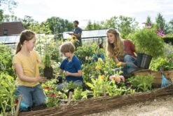 GARDENA Combisystem Bladharkje - Werkbreedte 12 Cm - 25 Jaar Garantie 18 GARDENA Combisystem Bladharkje - Werkbreedte 12 Cm - 25 Jaar Garantie -Tuingereedschaps Winkel 1200x800 282