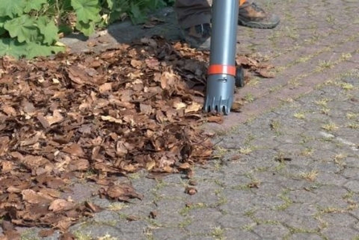 WOLF-Garten Elektrische Bladblazer LBV 2600 E - Motor 2600 Watt - Opvangzak 50 Liter - Reductie Ratio 10:1 12 WOLF-Garten Elektrische Bladblazer LBV 2600 E - Motor 2600 Watt - Opvangzak 50 Liter - Reductie Ratio 10:1 - Afbeelding 12