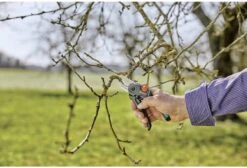 GARDENA - ExpertCut - Snoeischaar - 22 Diameter Tak -Tuingereedschaps Winkel 1200x815 1