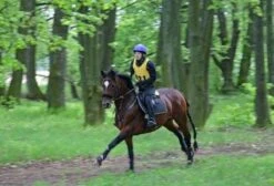 Aqua2Go GD86 Staand Electrische Pressure Washer - 20 Liter Tank - Afneembare Pomp 39 Aqua2Go GD86 Staand Electrische Pressure Washer - 20 Liter Tank - Afneembare Pomp -Tuingereedschaps Winkel 1200x817 1