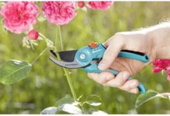 GARDENA - Classic B/S-M Bypass Snoeischaar - Ø 22mm - 25 Jaar Garantie 20 GARDENA - Classic B/S-M Bypass Snoeischaar - Ø 22mm - 25 Jaar Garantie -Tuingereedschaps Winkel 1200x820 1