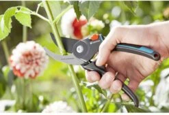 GARDENA Comfort B/M Bypass Snoeischaar - Ø 24mm - Met Sapgeul 14 GARDENA Comfort B/M Bypass Snoeischaar - Ø 24mm - Met Sapgeul -Tuingereedschaps Winkel 1200x822