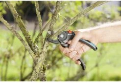 GARDENA - Comfort A/M Aambeeld - Snoeischaar - Ø 23mm 11 GARDENA - Comfort A/M Aambeeld - Snoeischaar - Ø 23mm -Tuingereedschaps Winkel 1200x825 1