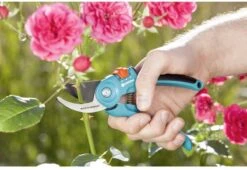 GARDENA - Classic B/S-M Bypass Snoeischaar - Ø 22mm - 25 Jaar Garantie 22 GARDENA - Classic B/S-M Bypass Snoeischaar - Ø 22mm - 25 Jaar Garantie -Tuingereedschaps Winkel 1200x825 11