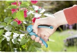 GARDENA - Classic B/S-M Bypass Snoeischaar - Ø 22mm - 25 Jaar Garantie 23 GARDENA - Classic B/S-M Bypass Snoeischaar - Ø 22mm - 25 Jaar Garantie -Tuingereedschaps Winkel 1200x825 12