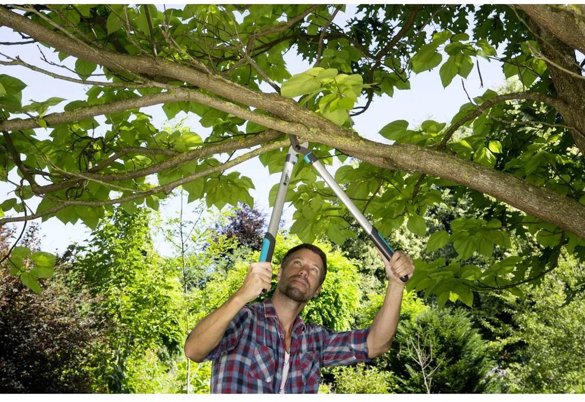 Gardena EasyCut Takkenschaar 68B + Classic Snoeischaar 8754 Display 1stuk 12003-30 2 Gardena EasyCut Takkenschaar 68B + Classic Snoeischaar 8754 Display 1stuk 12003-30 - Afbeelding 2