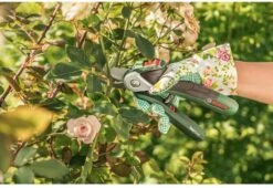 Bosch EasyPrune Accu Snoeischaar - 3.6 V Accu - USB 10 Bosch EasyPrune Accu Snoeischaar - 3.6 V Accu - USB -Tuingereedschaps Winkel 1200x825 16