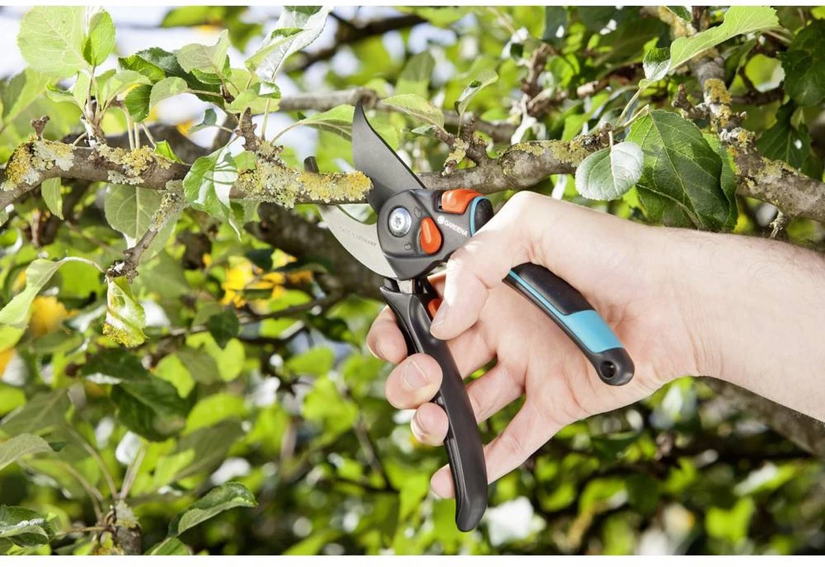 GARDENA - Comfort B/S-XL Bypass - Snoeischaar - Ø 24 Mm - 25 Jaar Garantie 14 GARDENA - Comfort B/S-XL Bypass - Snoeischaar - Ø 24 Mm - 25 Jaar Garantie - Afbeelding 14