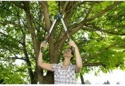 GARDENA - TeleCut Telescopische - Takkenschaar 520-670B - 42 Mm Verstelbare Lengte 15 GARDENA - TeleCut Telescopische - Takkenschaar 520-670B - 42 Mm Verstelbare Lengte -Tuingereedschaps Winkel 1200x825 7