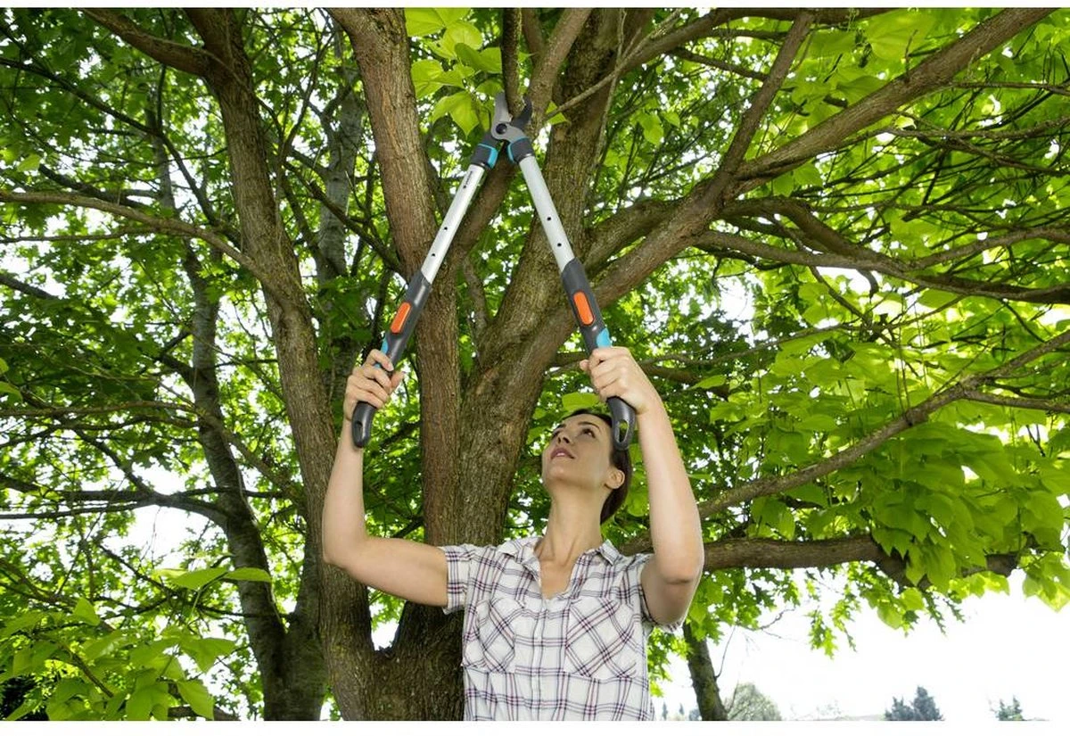 GARDENA - TeleCut Telescopische - Takkenschaar 520-670B - 42 Mm Verstelbare Lengte 8 GARDENA - TeleCut Telescopische - Takkenschaar 520-670B - 42 Mm Verstelbare Lengte - Afbeelding 8