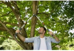 Gardena TeleCut Takkenschaar 650-900 B - Uitschuifbare Armen - Tot Max 90 Cm 18 Gardena TeleCut Takkenschaar 650-900 B - Uitschuifbare Armen - Tot Max 90 Cm -Tuingereedschaps Winkel 1200x826 2