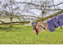 GARDENA - ExpertCut - Snoeischaar - 22 Diameter Tak -Tuingereedschaps Winkel 1200x859 1