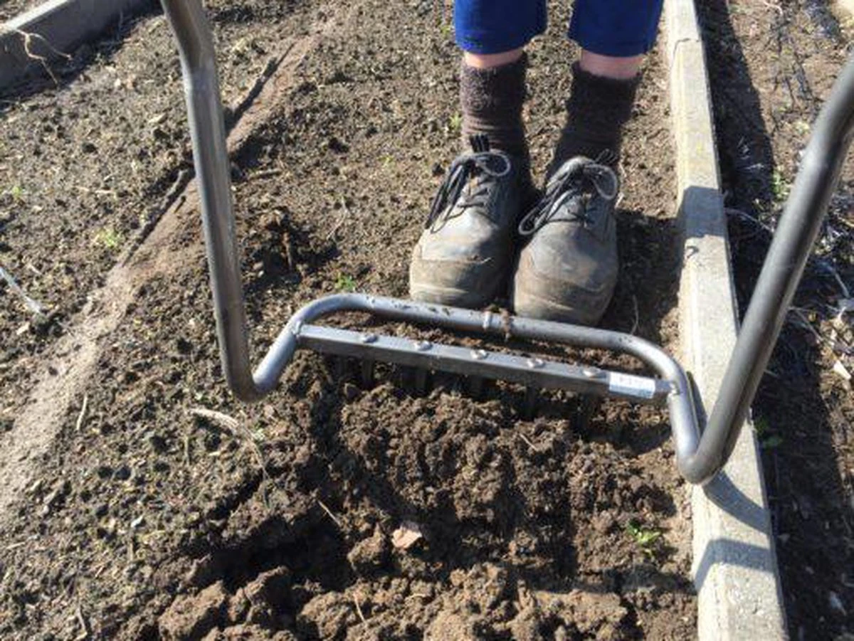 Ergo Woelvork 5 Tanden Depypere 2 Ergo Woelvork 5 Tanden Depypere - Afbeelding 2