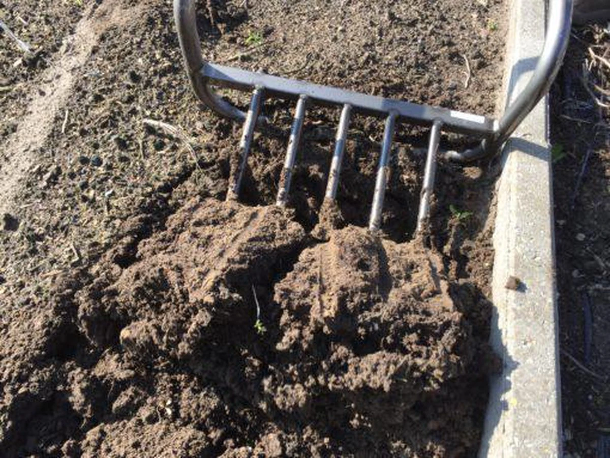 Ergo Woelvork 5 Tanden Depypere 3 Ergo Woelvork 5 Tanden Depypere - Afbeelding 3