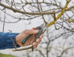 GARDENA - ExpertCut - Snoeischaar - 22 Diameter Tak -Tuingereedschaps Winkel 1200x929