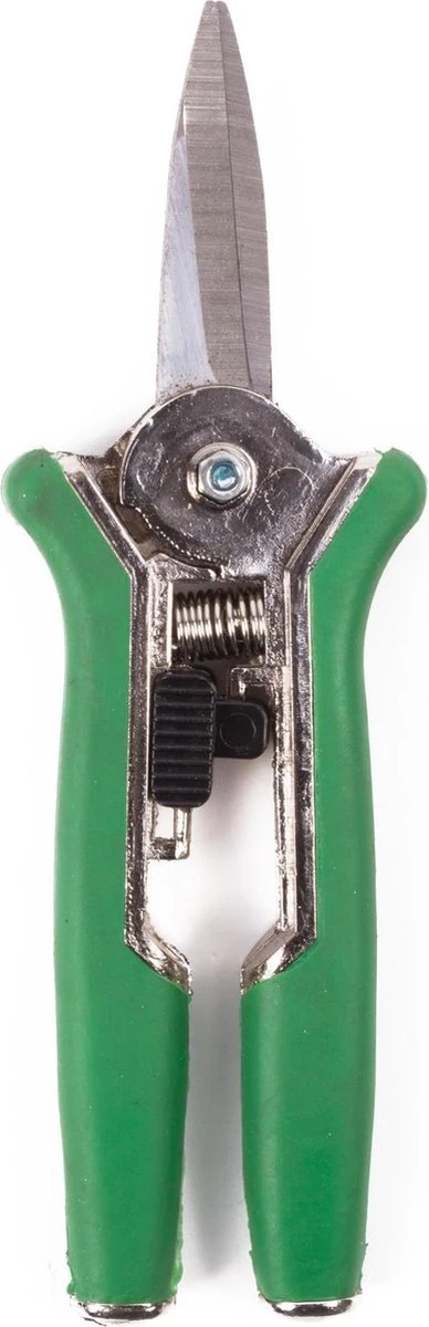 Bloemenschaar- Snoeischaar Recht Green Arrow 6238 1 Bloemenschaar- Snoeischaar Recht Green Arrow 6238