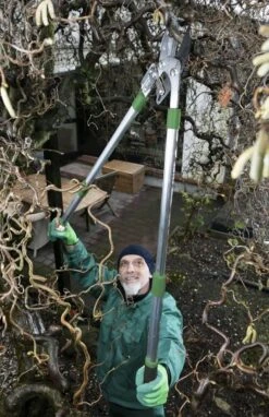 Telescopische Takkenschaar, 6-voudig 6 Telescopische Takkenschaar, 6-voudig -Tuingereedschaps Winkel 775x1200 1