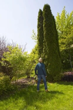 GARDENA TeleCut Heggenschaar - Telescopische Handgrepen Van 70-90 Cm 16 GARDENA TeleCut Heggenschaar - Telescopische Handgrepen Van 70-90 Cm -Tuingereedschaps Winkel 799x1200 44