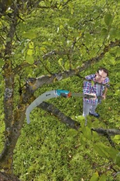 GARDENA Combisysteem Snoeizaag 300PP Curved Takkenzaag - Meslengte 315 Mm - Exclusief Verlengstok 13 GARDENA Combisysteem Snoeizaag 300PP Curved Takkenzaag - Meslengte 315 Mm - Exclusief Verlengstok -Tuingereedschaps Winkel 799x1200 71