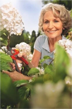 WOLF-Garten Snoeischaar "Premium Plus" RR 4000 - Max. Knipdiameter 22 Mm - Links- En Rechtshandige - Softinleg Handgreep - Snijhoek 30° - Voor Grote Handen - Vervangbare Messen 21 WOLF-Garten Snoeischaar "Premium Plus" RR 4000 - Max. Knipdiameter 22 Mm - Links- En Rechtshandige - Softinleg Handgreep - Snijhoek 30° - Voor Grote Handen - Vervangbare Messen -Tuingereedschaps Winkel 800x1200 29