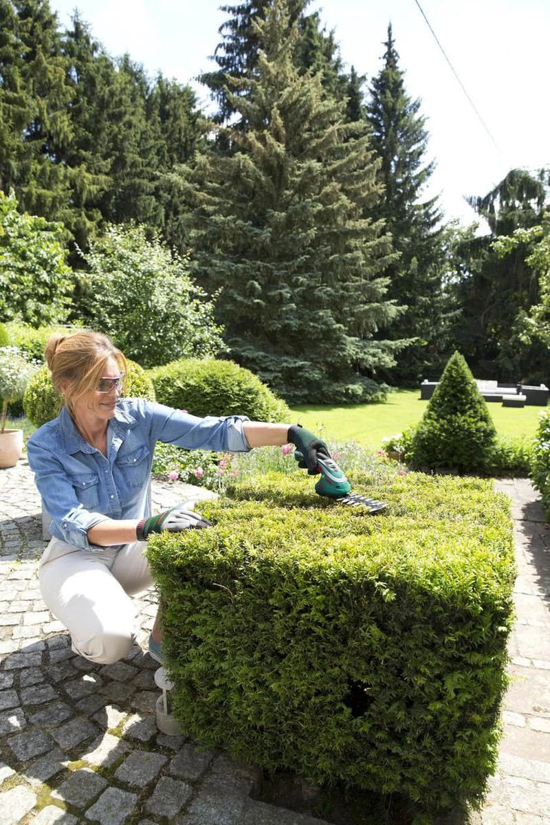 Bosch ISIO Gen III Accu Buxusschaar + Grasschaar 3 Bosch ISIO Gen III Accu Buxusschaar + Grasschaar - Afbeelding 3