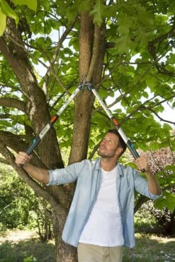 Gardena TeleCut Takkenschaar 650-900 B - Uitschuifbare Armen - Tot Max 90 Cm 16 Gardena TeleCut Takkenschaar 650-900 B - Uitschuifbare Armen - Tot Max 90 Cm -Tuingereedschaps Winkel 800x1200 33