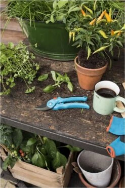 GARDENA - Classic B/S-M Bypass Snoeischaar - Ø 22mm - 25 Jaar Garantie 16 GARDENA - Classic B/S-M Bypass Snoeischaar - Ø 22mm - 25 Jaar Garantie -Tuingereedschaps Winkel 800x1200 34