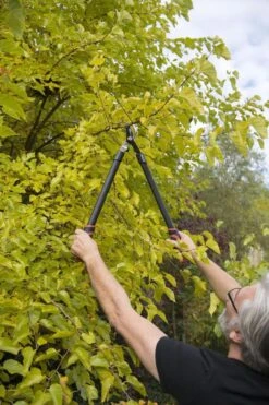 Kreator KRTGR4001 Takkenschaar - 650mm -Tuingereedschaps Winkel 800x1200 36