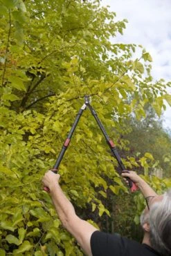 Kreator KRTGR4003 Telescopische Takkenschaar – Jong Hout - Knipdiameter: Ø34 Mm -Tuingereedschaps Winkel 800x1200 38