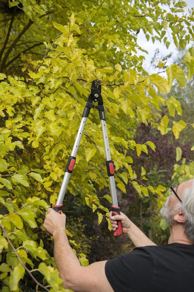 Kreator KRTGR4013 Telescopische Takkenschaar - 63-89 Cm Totale Lengte - . Ø39 Mm Knipdiameter 4 Kreator KRTGR4013 Telescopische Takkenschaar - 63-89 Cm Totale Lengte - . Ø39 Mm Knipdiameter - Afbeelding 4