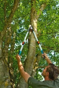 Gardena TeleCut Takkenschaar 650-900 B - Uitschuifbare Armen - Tot Max 90 Cm 24 Gardena TeleCut Takkenschaar 650-900 B - Uitschuifbare Armen - Tot Max 90 Cm -Tuingereedschaps Winkel 801x1200 1