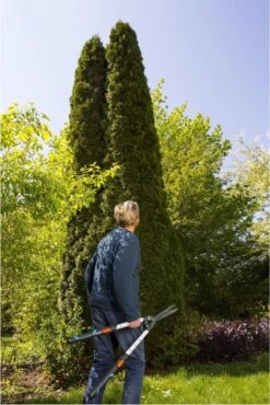 GARDENA TeleCut Heggenschaar - Telescopische Handgrepen Van 70-90 Cm 17 GARDENA TeleCut Heggenschaar - Telescopische Handgrepen Van 70-90 Cm -Tuingereedschaps Winkel 801x1200 3
