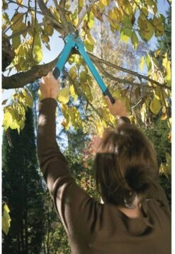 GARDENA Comfort 500 BL Takkenschaar - Max Knipdiameter 35 Mm 14 GARDENA Comfort 500 BL Takkenschaar - Max Knipdiameter 35 Mm -Tuingereedschaps Winkel 825x1200 8