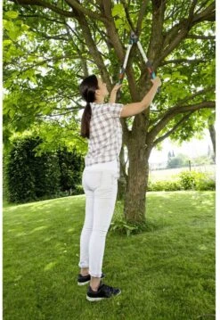 GARDENA - TeleCut Telescopische - Takkenschaar 520-670B - 42 Mm Verstelbare Lengte 14 GARDENA - TeleCut Telescopische - Takkenschaar 520-670B - 42 Mm Verstelbare Lengte -Tuingereedschaps Winkel 826x1200 1